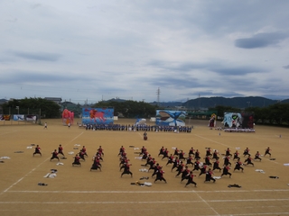 IMG_0955_S.JPG