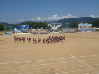 P赤マス (2).JPG